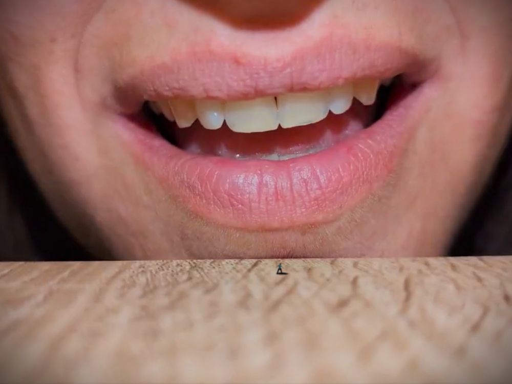 After missing for a couple days and trying to gain my girlfriends attention while I was almost stepped on, sat on and eaten. I have climbed high enough for her to notice a tiny bug on the table. Upon closer inspection as she was about to snuff it out, she sees it's me.