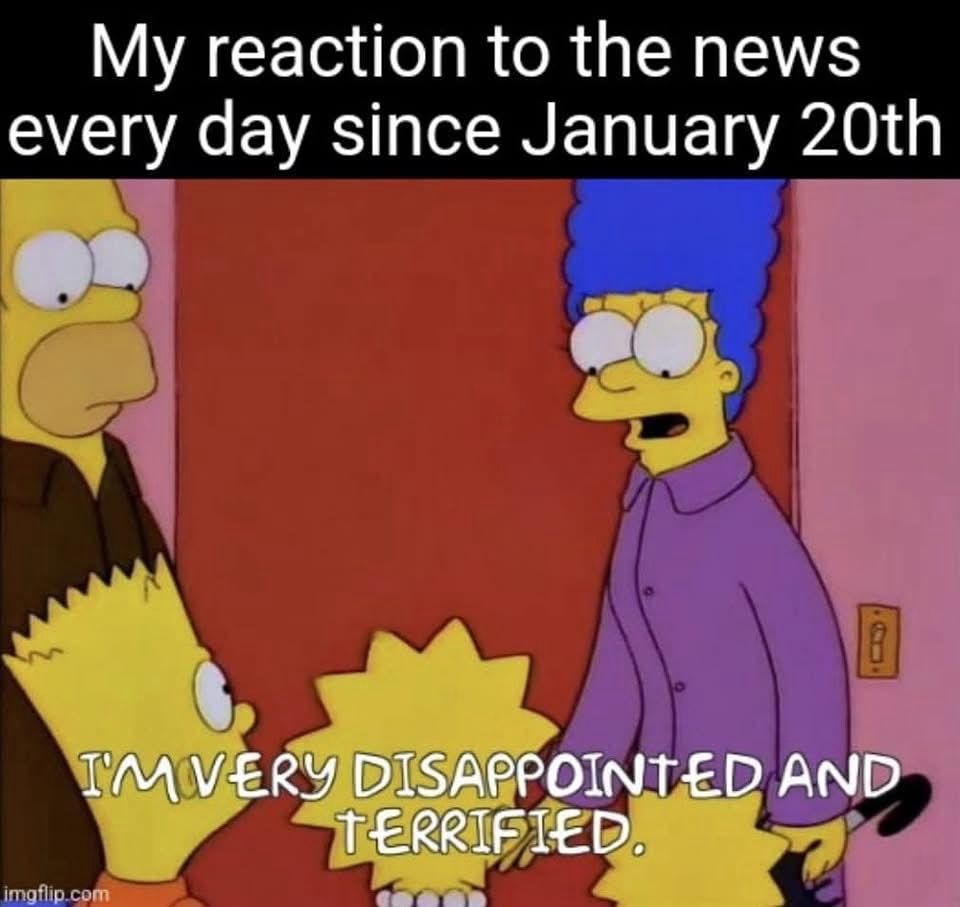 Image titles “my reaction to the news everyday since January 20th:” shows image of Marge Simpson tv character looking at her family of a husband and three kids and says “I’m very disappointed and terrified” 