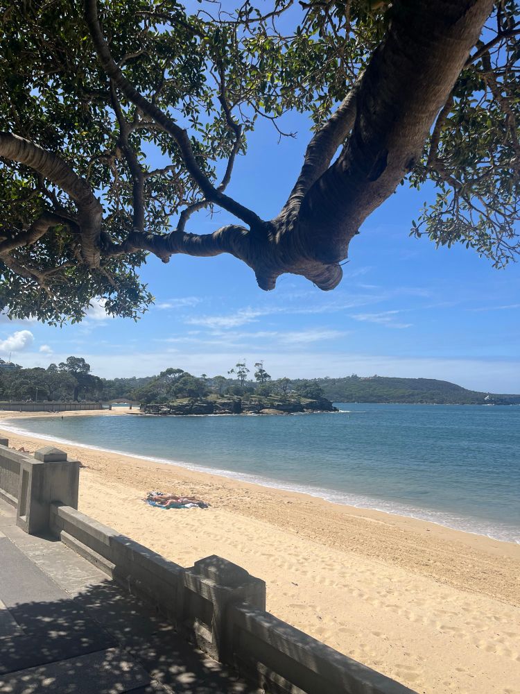 View of Balmoral Beach, tree branch overheard, looking towards Rocky Point Lookout with Castle Rock Beach in the background. 