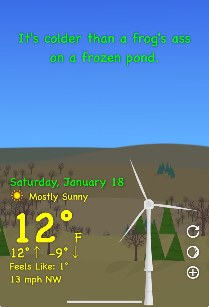 Screenshot of weather app that says, “It’s colder than a frog’s ass on a frozen pond”. Weather stats; 12°F, Feels like -9°F. 