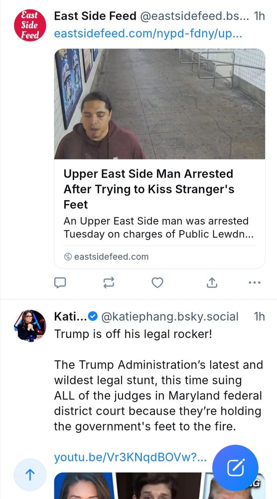 Great Bluesky timeline juxtaposition, with top post reading "Upper East Side Man Arrested After Trying to Kiss Stranger's Feet" and lower post reading the Trump administration's latest and wildest legal stunt, this time suing all of the judges in Maryland federal district court because they're holding the government's feet to the fire."