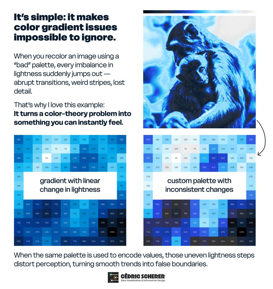 A blue-shaded version of the photo with inconsistent changes in lightness. Two generic heatmaps below compare that palette with a well-designed gradient with linear change in lightness.