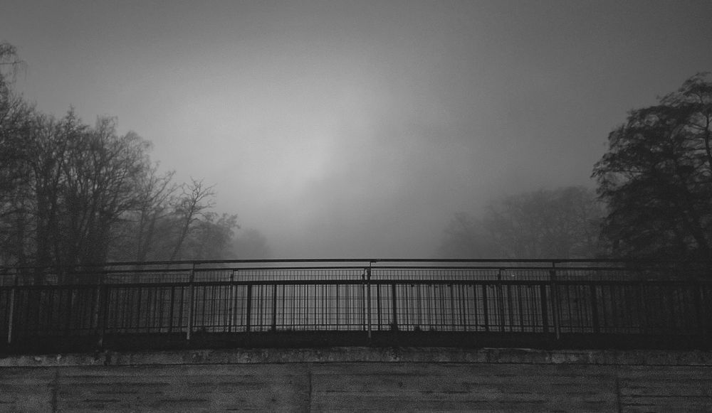 Querformat, schwarz-weiß. Foto zeigt eine Betonbrücke über einen Fluss. Rechts und links stehen hohe Bäume am Ufer. Die Szenerie verschwimmt etwas im Nebel. Am Horizont wird das grau durch die Sonne etwas aufgehellt.