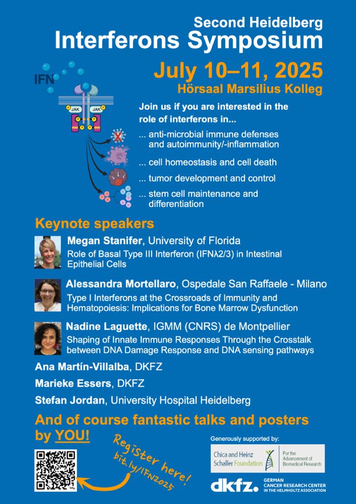 Advertising flyer for the symposium, keynote lectures by Nadine Laguette from Montepellier (Crosstalk between DNA damage response and DNA sensing), Megan Stanifer from Florida (Lambda interferon in the gut epithelium) and Alessandra Mortellaro from Milano (type I interferons in hematopoiesis), plus local keynotes by Ana Martín-Villalba, Marieke Essers and Stefan Jordan.