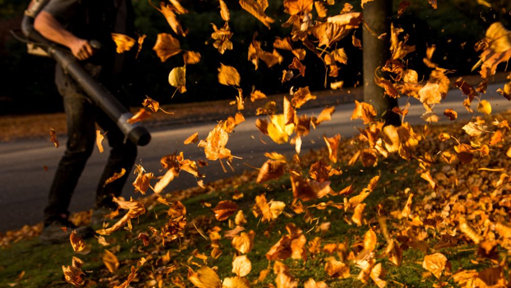 Hear that? It’s the sound of leaf blower bans.