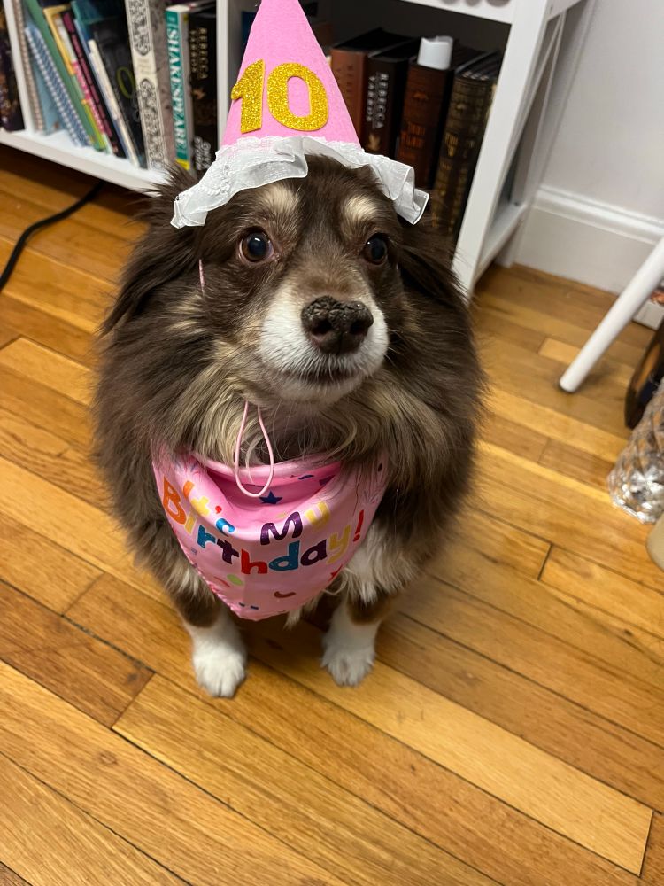 Charlotte in a birthday bandana and birthday hat that says “10” 