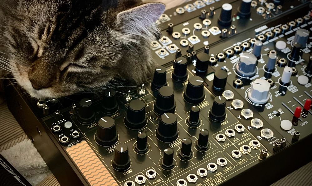 Figaro resting on a synthesizer