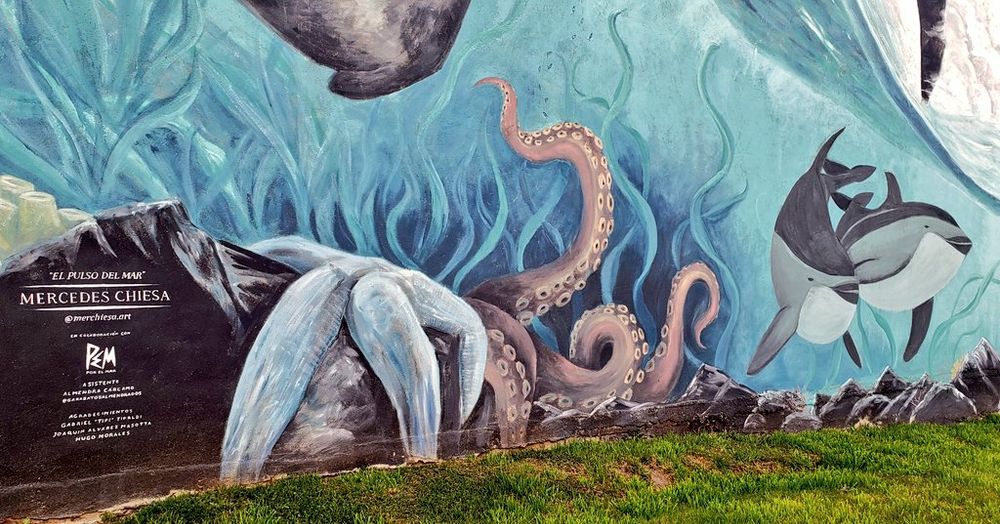 Large mural of marine life including mammals, octopus and a sea star