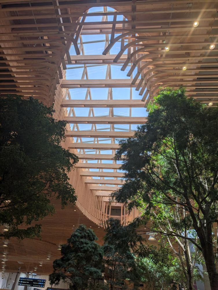 Photo of the new timber ceiling at the airport in Portland, Oregon