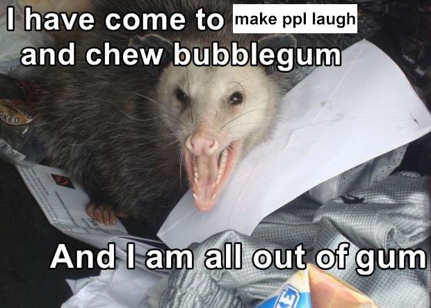 Comment image
