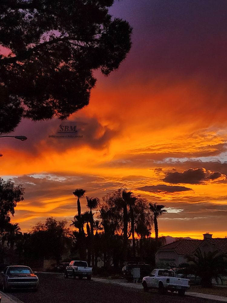 A fiery gold to violet sunset of stratocumulus clouds looming under an off-white sky with small silhouettes of trees in the surroundings 