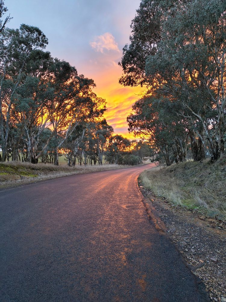 Sky lightening and gum trees at sodes of curving road.
