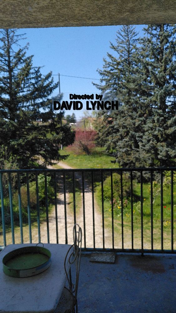 Photo prise de l'intérieur d'une maison vers le jardin devant. Des arbres et un grand ciel bleu. Au premier plan, collé sur la fenêtre, un sticker indique "directed by David Lynch"