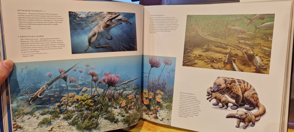 Open pages, art by Bill Unzen.