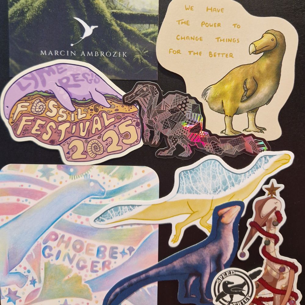Collection of stickers, cards, drink mats showing awesome dino / pterosaur art.