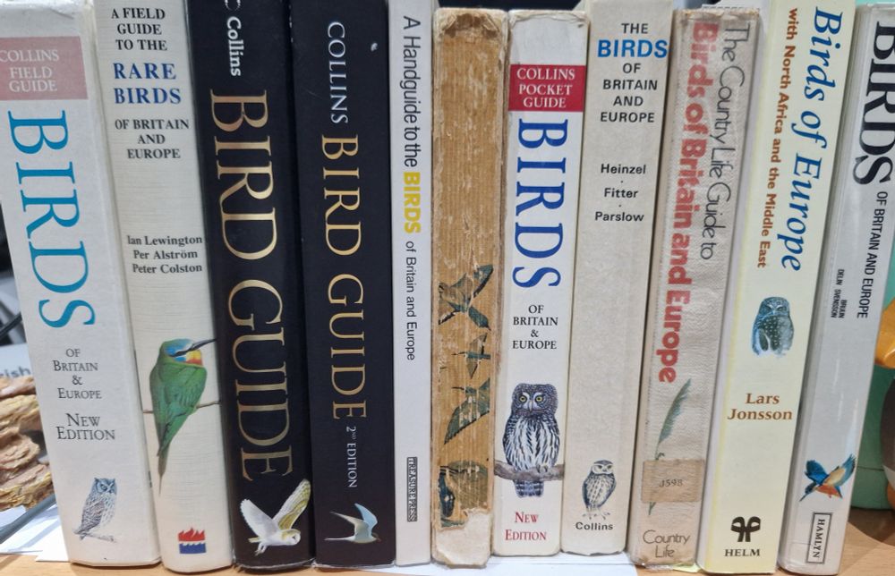 Fieldguides on European birds.