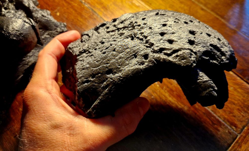 A hooked upper jaw top from a spinosaurid.