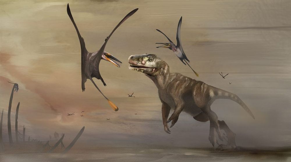 Natalia Jagielska art, showing mid-sized theropod with pterosaurs in misty landscape.