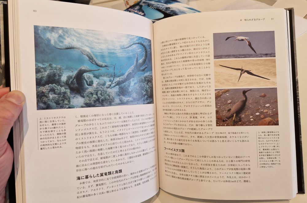 Book interior. Pictures and Japanese text. Art shows phytosaurs, birds, pterosaurs. 