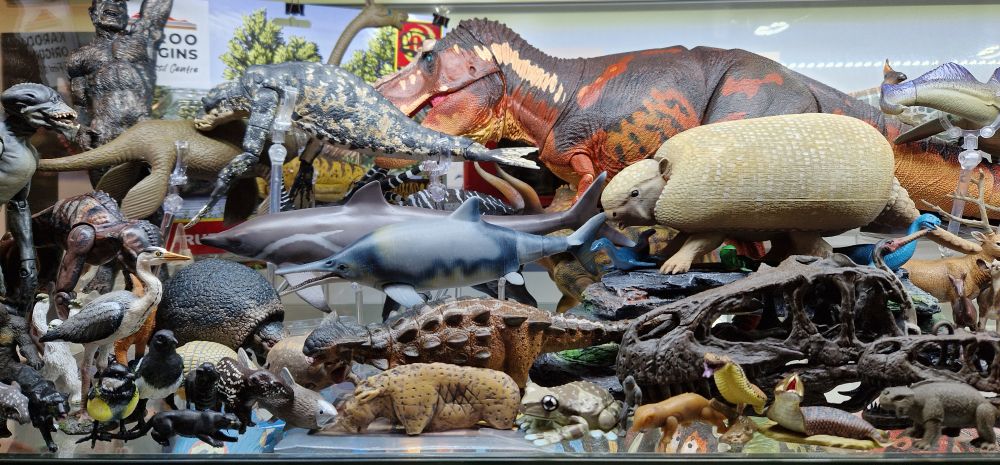 Animals figures and models in a display  cabinet. 