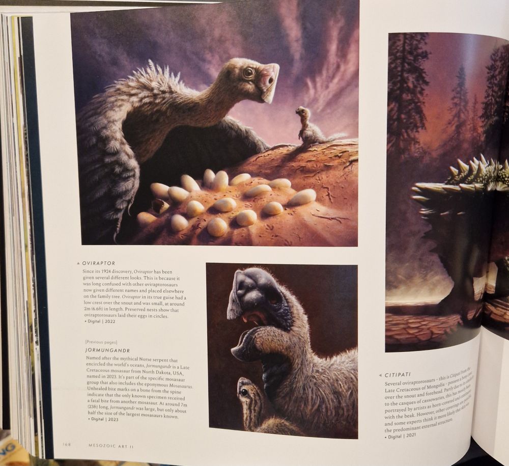 Page from within, showing art and captions.
