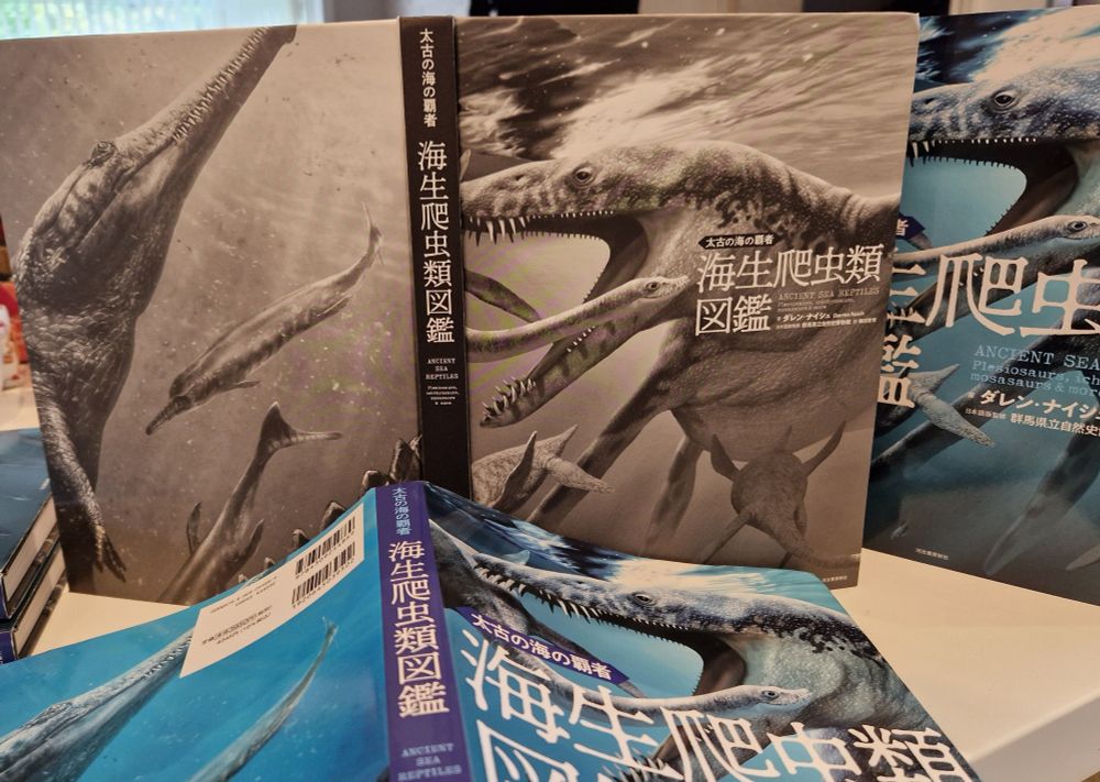Cover boards under dust jacket. Same look but grey.