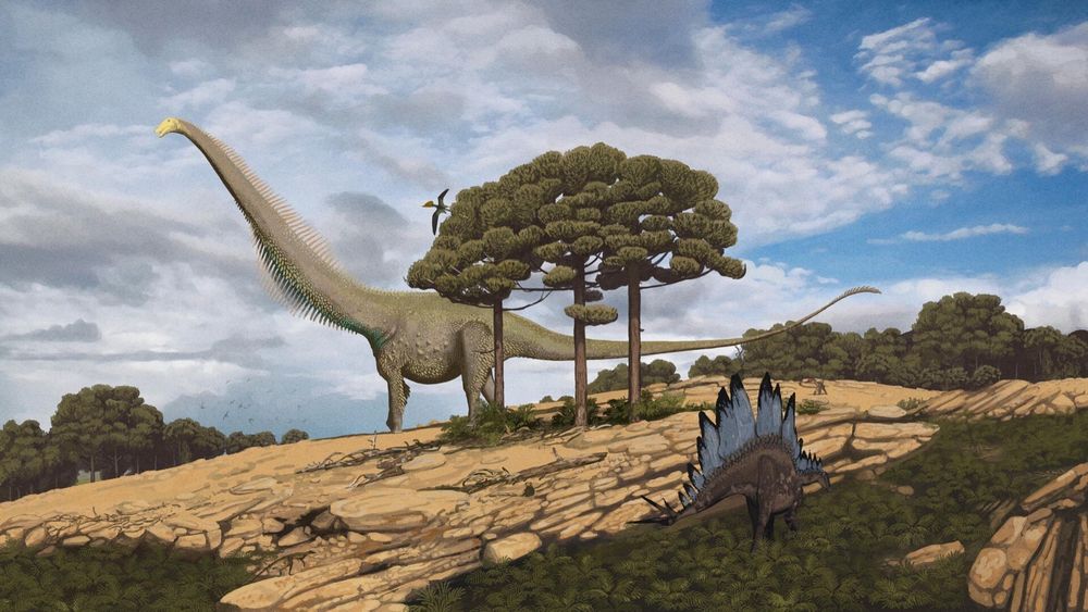 John Conway art showing Diplodocus with elaborate skin anatomy. 