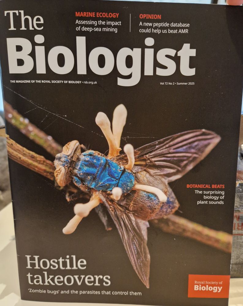Cover of the issue, showing a fly killed by cordiceps. 