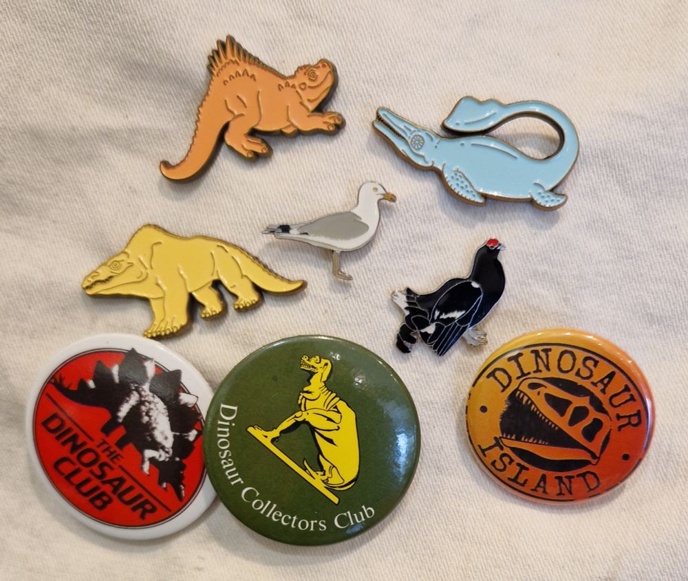 Dinosaur badges 2 (plus ichthyosaur).