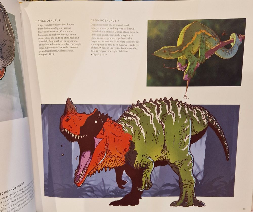 Page from within, showing art and captions.
