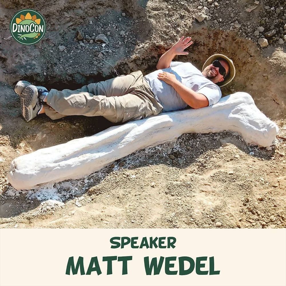 DinoCon promo image showing Mathew Wedel next to a giant sauropod bone.