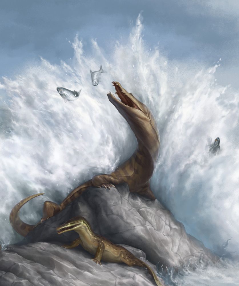 A nothosaur group on rocks, waves crashing around them.