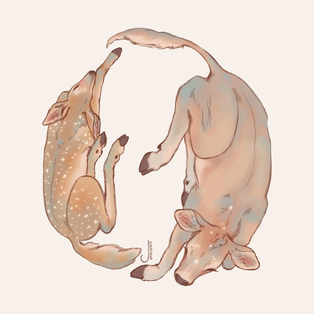 A fawn and a cow calf lie encircling each other. The calf's head is dappled with stars and fawn's spots are also stars.