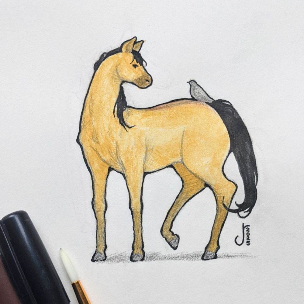 Pencil, ink, and watercolor drawing of a buckskin horse with a gray bird sitting on his back.