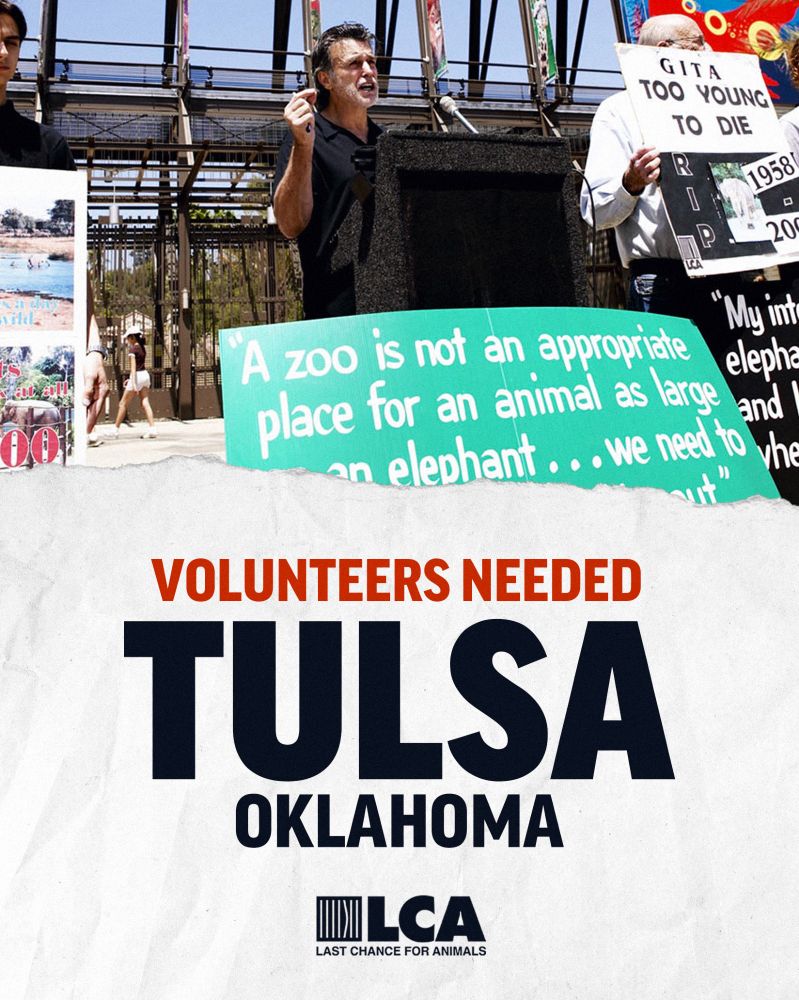 Tulsa Volunteers Needed