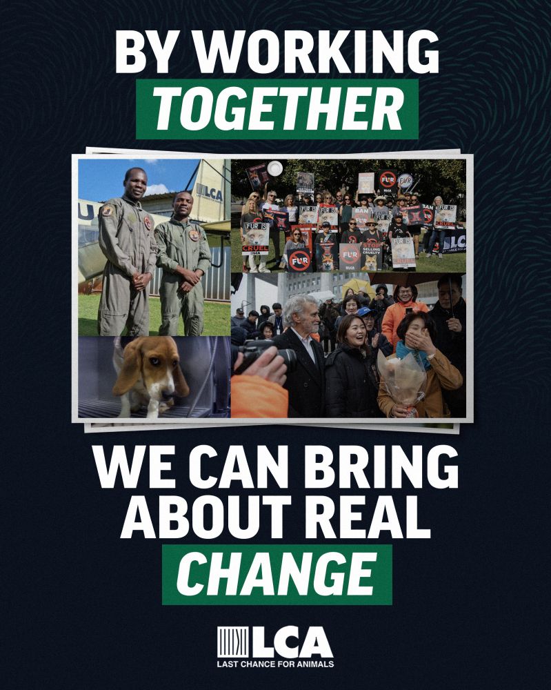 World Change Day