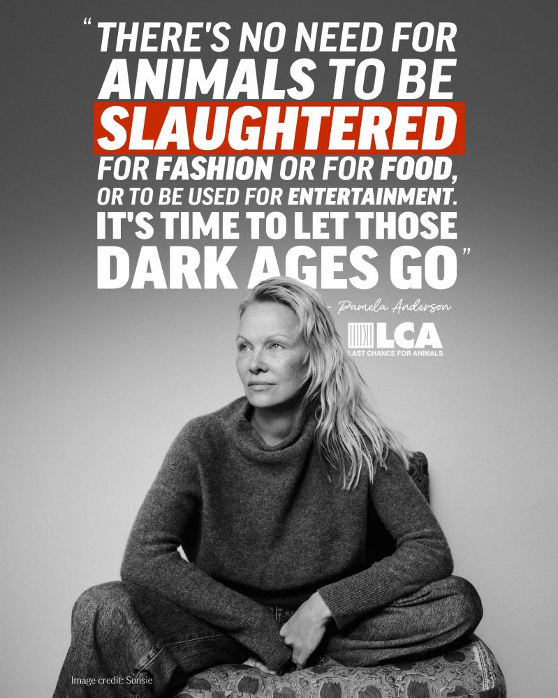 Pamela Anderson Quote