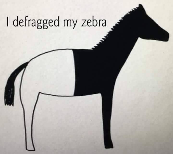 A childish side-view drawing of a zebra, except the front half is black and the back half is white. 

There is text above the zebra, saying “I defragged my zebra”. 
