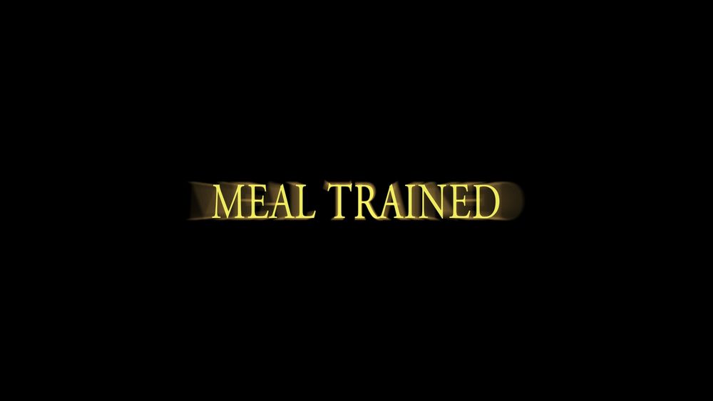 FromSoft text that says "MEAL TRAINED"