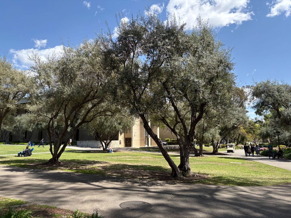 Caltech Campus