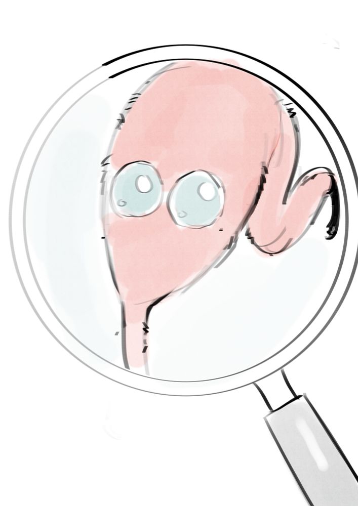 Comment image