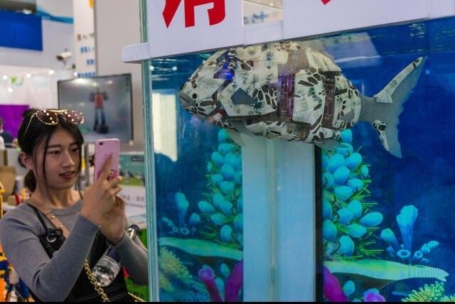 China has developed a bionic robotic fish designed for river protection