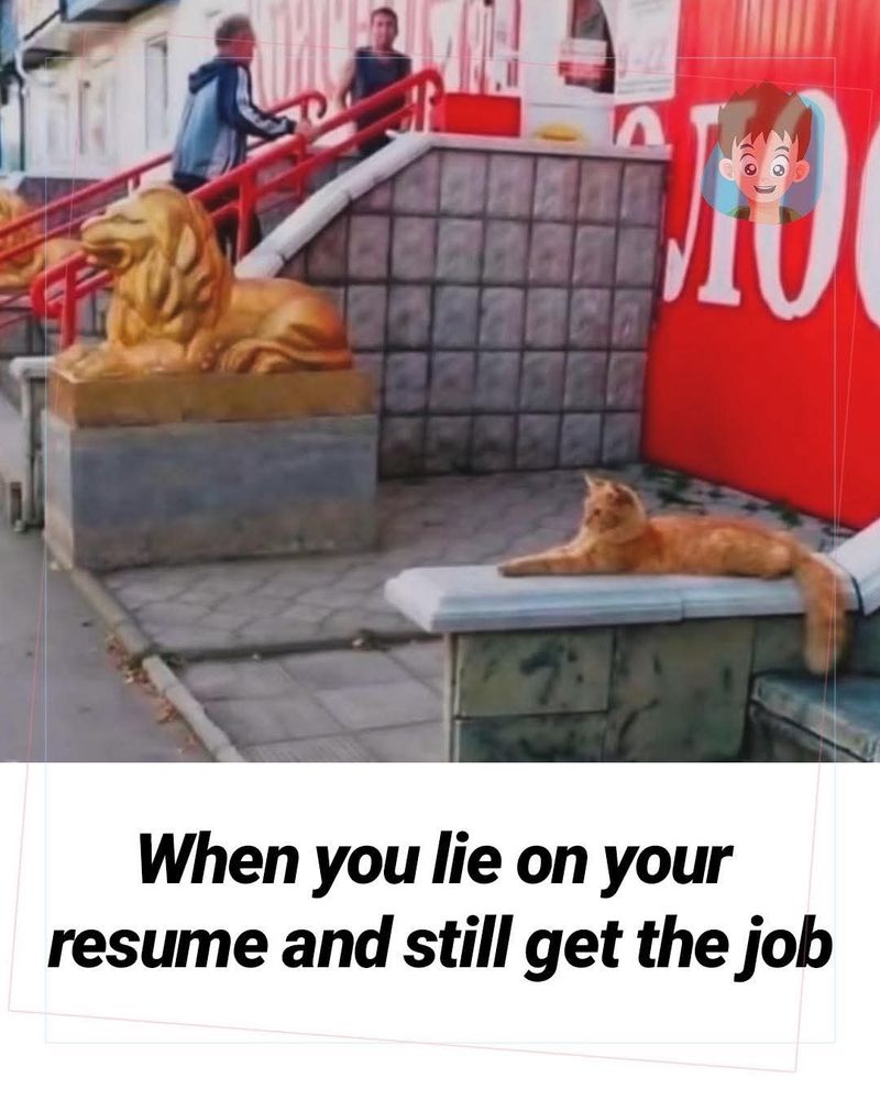 Comment image
