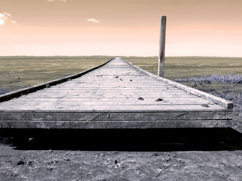 Blick über einen hölzernen Steg hinaus auf das Watt. Auf der rechten Seite des Steges steht ein einsamer aufrwechter Holzpfosten.