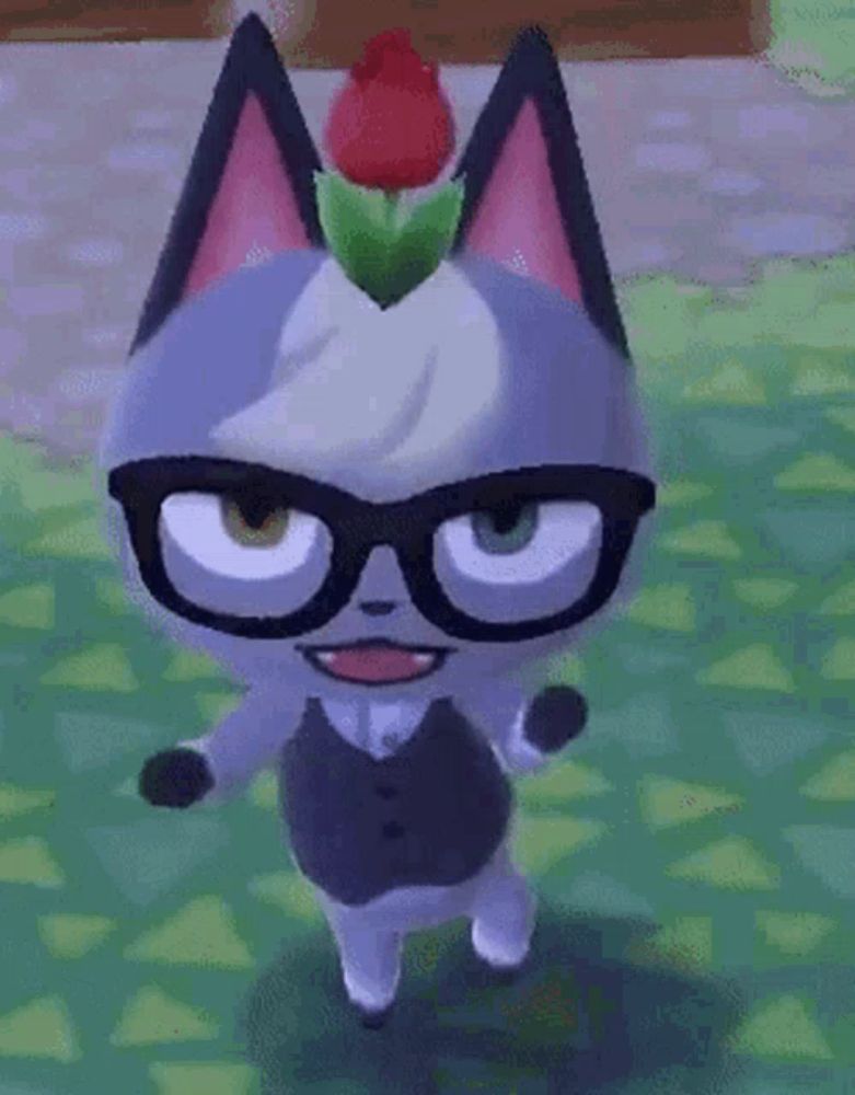 a cat with glasses and a flower on its head is standing on the grass .