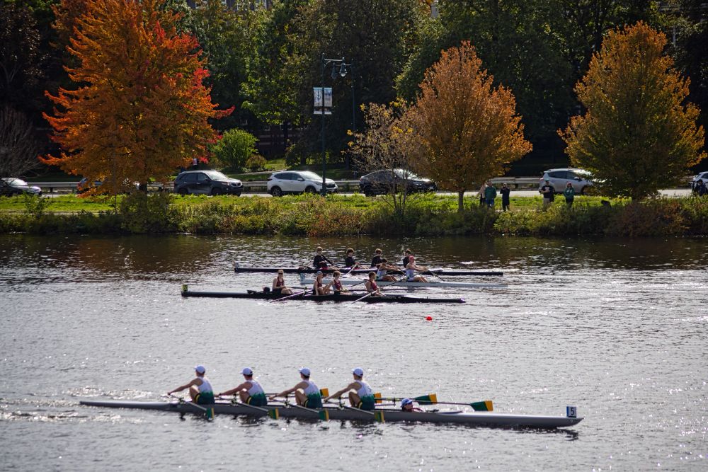 A rowing competition in a waterway, featuring multiple crews in boats. In the background, colorful autumn trees and vehicles along a road are visible, with spectators on the bank.