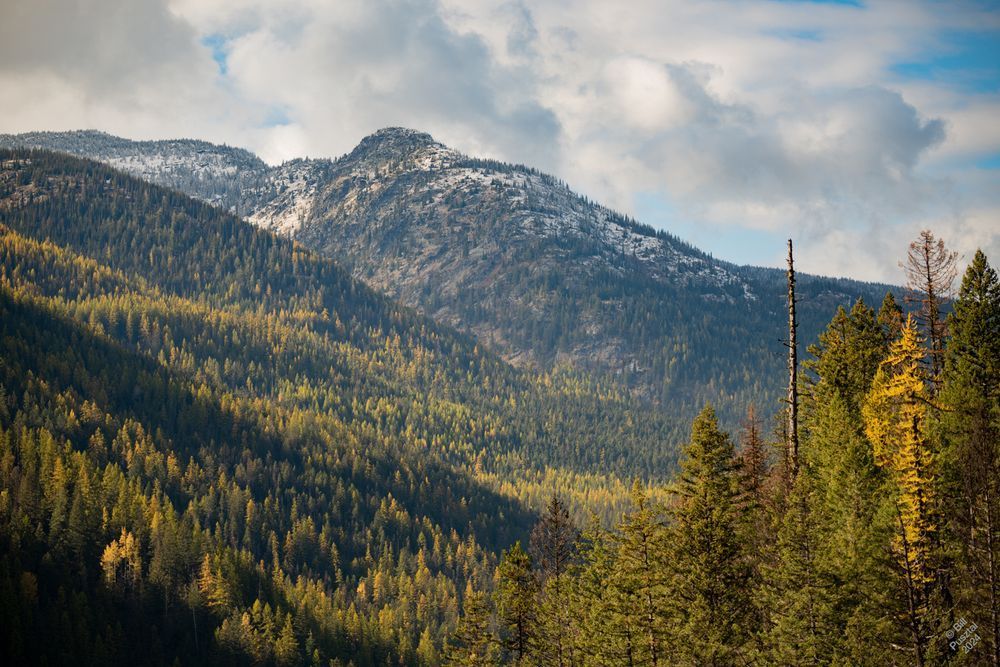 Looking across a valley toward a low mountain. The nearby slopes are densely wooded with confiers including larch, which is turning pale yellow. Mt Gladstone in the distance is sparsely forested and showing snow in the dips and on the shaded side. The sky is sunnny/cloudy and the cloud shadows lay across the hills.

Ktunaxa (Kootenay) First Nation, Nsyilxcən (Syilx Okanagan) speaking people, and Secwépemc (Shushwap) people shared this area.