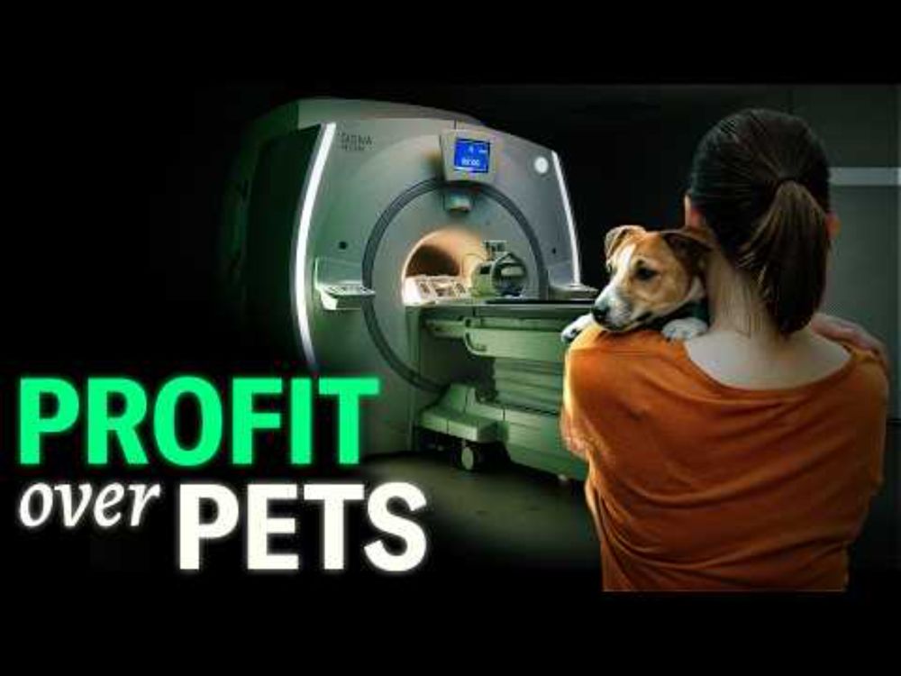 Private Equity's Ruthless Pet Care Scheme