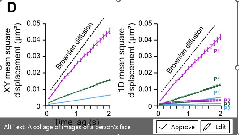 me posting a subpanel with two graphs into powerpoint. suggested alt text at bottom: "A collage of images of a person's face" with approve/edit buttons for my consideration