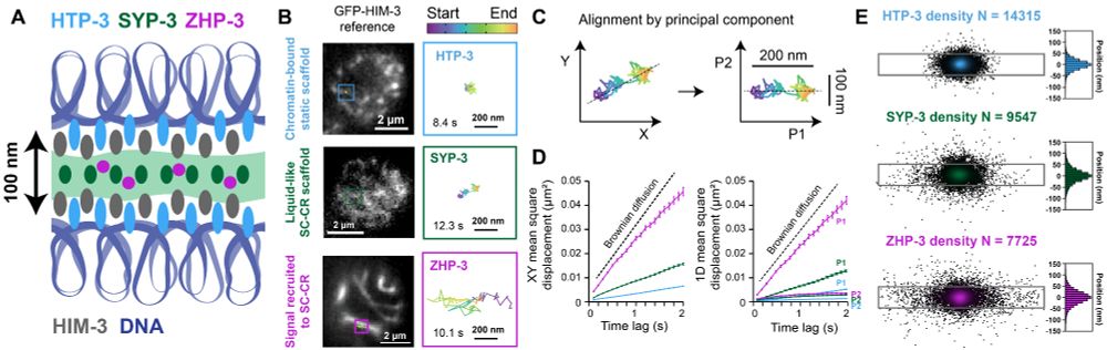 figure 1 from our 2024 paper - not much that looks like a face tbh